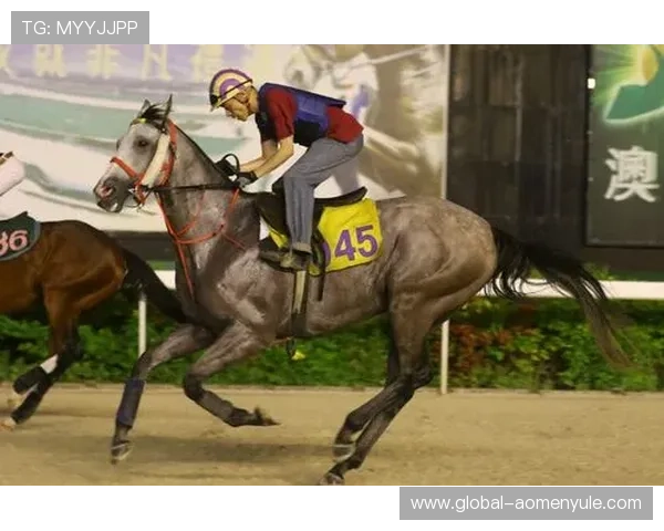 澳门赛马日程表2024赛季全景规划,详细列出每个比赛日的时间安排和赛事亮点 澳门赛马日程表2024赛季全景规划,详细列出每个比赛日的时间安排和赛事亮点